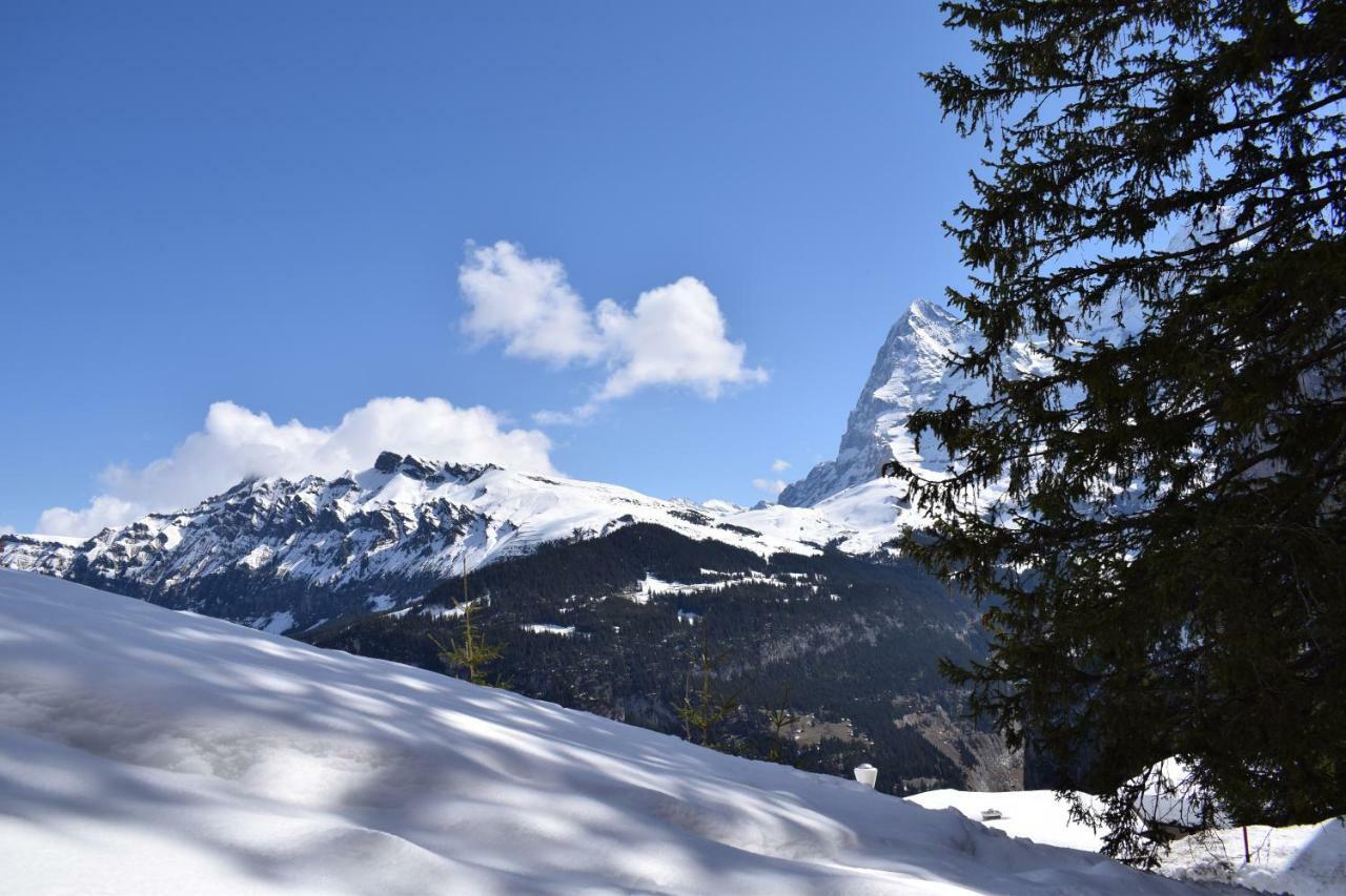 Sportlodge Muerren Екстериор снимка